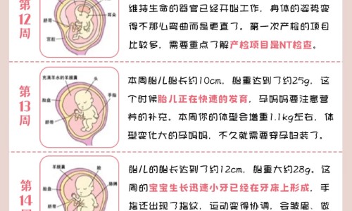 脂肪高吃什么水果网脂肪高吃什么水果好知识网站,分享脂肪肝吃什么才能减掉肝上的脂肪大全