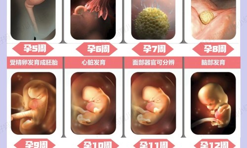 脂肪高吃什么水果网脂肪高吃什么水果好知识网站,分享脂肪肝吃什么才能减掉肝上的脂肪大全