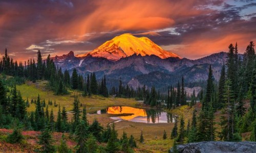 脂肪高吃什么药-脂肪高吃什么水果网脂肪高吃什么水果好知识网站,分享脂肪肝吃什么才能减掉肝上的脂肪大全
