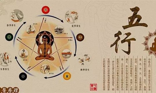 脂肪高吃什么水果降脂肪-脂肪高吃什么水果网脂肪高吃什么水果好知识网站,分享脂肪肝吃什么才能减掉肝上的脂肪大全